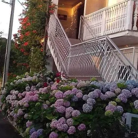 Apartman Studio 14681c *